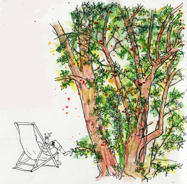 blog image